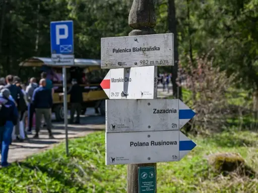 Rozdroże szlaków w górach. Co oznacza żółty szlak w górach? Tutaj widzimy drogowskazy na Palenicę Białczańską, Morskie Oko, Zazadnią i Polanę Rusinową.
