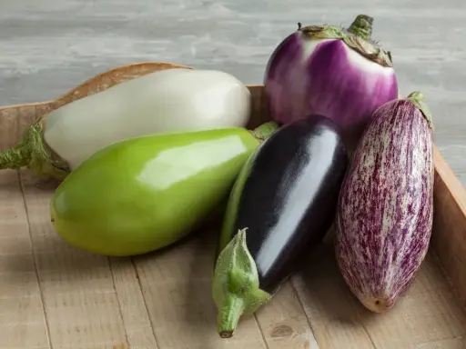 Variétés d'aubergines photos : une aubergine blanche, une verte, une noire, une violette ronde et une tigrée sur un plateau en bois.