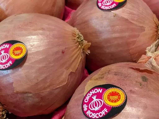 Gros plans sur des oignons de Roscoff, parfaits pour savoir si peut on congeler des oignons crus. Ils sont prêts à être cuisinés ou conservés.