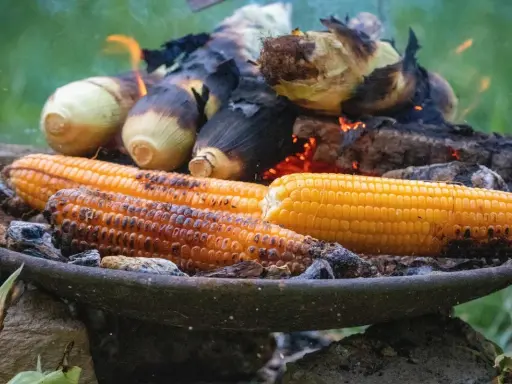 Kukurydza pieczona na ogniu. Zastanawiasz się, ile gotować kukurydzę, by była idealna? Ta na zdjęciu wygląda na gotową!