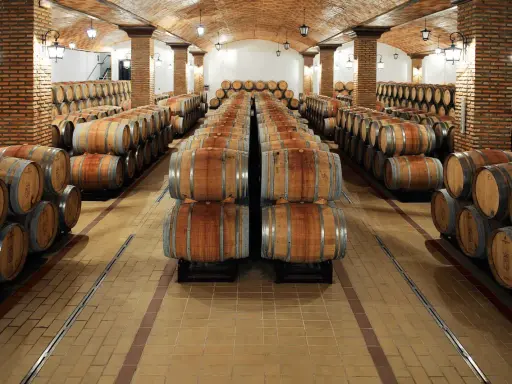 Bodega con hileras de barricas de roble sobre suelos de baldosas, creando un ambiente perfecto para la crianza de vinos.