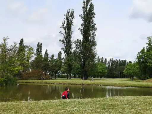Bambino in gita al Delta del Po, seduto sull'erba vicino a uno stagno, circondato da alberi alti e verdi.