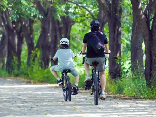 Dwie osoby na rowerach jadą alejką wśród drzew. Idealne miejsce na odkrywanie tras rowerowych Rzeszów.
