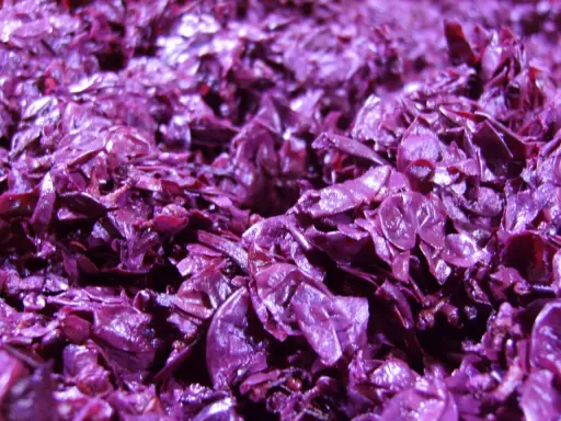 Textura púrpura y brillante del bagazo de uva, restos de la vinificación listos para ser reutilizados.