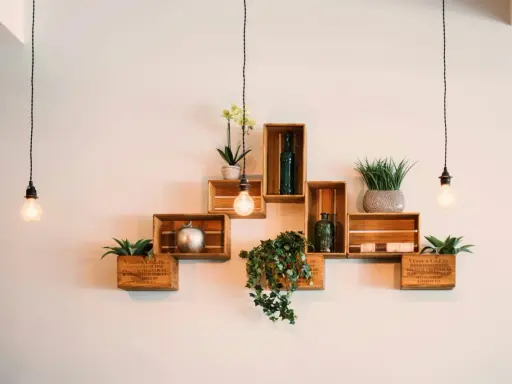 Ideas pared decoracion con cajas de madera, plantas y luces colgantes. Estanterías rústicas y creativas.