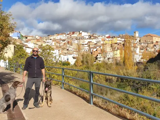 Hombre paseando con dos perros por la ruta de las esculturas de Bogarra, con el pueblo al fondo.