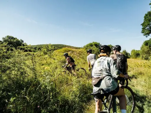 Vier Radfahrer auf einem Feldweg, die eine 360-Grad-Tour durch die Natur genießen.