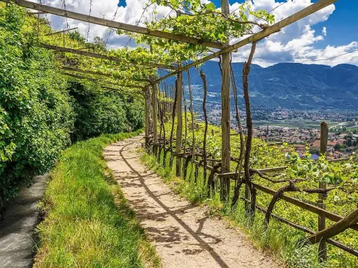 Sentiero nel vigneto, con pergolato e vista sulla valle. Un'oasi di pace lungo l'algunder waalweg.