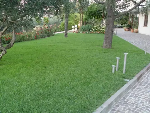 Un césped verde y frondoso, resultado de un perfecto **plantar césped**, rodea árboles y flores en un jardín cuidado.