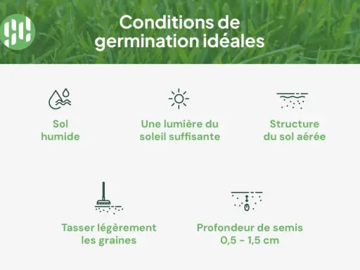 Conditions idéales pour quand planter du gazon : sol humide, soleil, sol aéré, graines tassées à 0,5-1,5 cm.