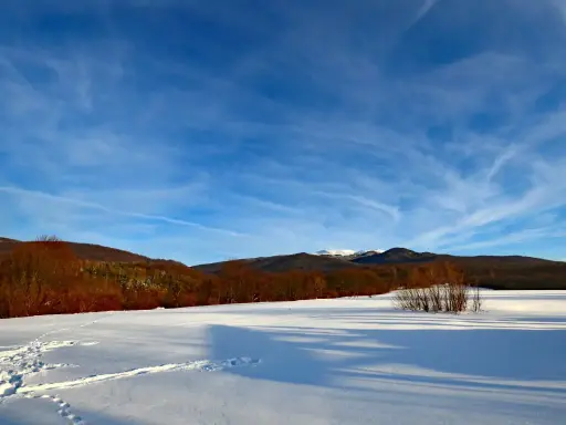 Bieszczady zimą: Szlaki otwarte, ale czy bezpieczne? Sprawdź!