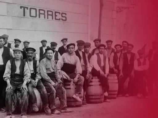 Trabajadores de Torres, donde se elabora el vino Sangre de Toro.