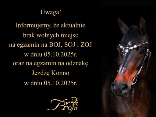Twój przewodnik: Odznaka "Jeżdżę Konno" PZJ zdaj za 1 razem!