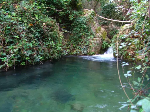 Agua cristalina en una **piscina natural** de Letur, rodeada de vegetación exuberante y rocas cubiertas de musgo.