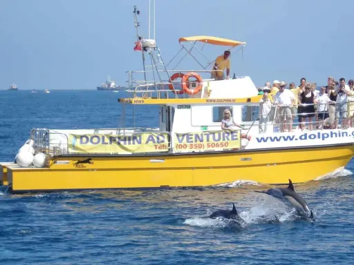 Gelbe Touristenboot "Dolphin Adventure" vor Gibraltar, Delfine springen aus dem Wasser.