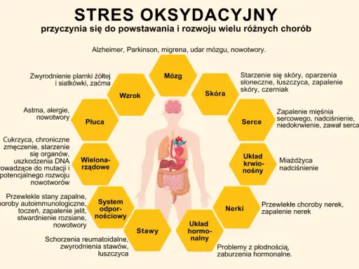 Stres oksydacyjny i wolne rodniki wpływają na mózg, wzrok, płuca, skórę, serce, układ krwionośny, nerki, stawy i układ hormonalny, prowadząc do chorób.