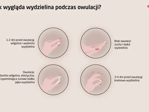 Ilustracja pokazuje zmiany wydzieliny podczas cyklu, wyjaśniając, co to owulacja i jak wygląda wydzielina w jej trakcie: wodnista, kremowa, a w szczycie elastyczna jak białko jaja.