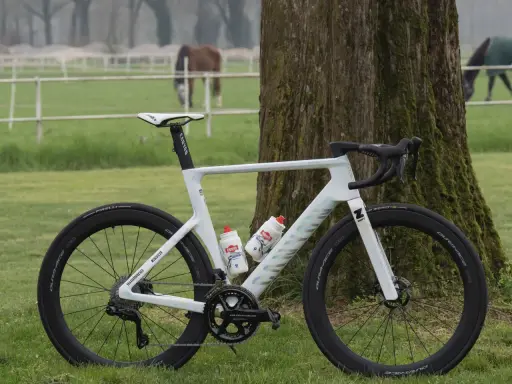 Mathieu van der Poel's white Canyon bike, ready for a race, stands by a tree. Horses graze in the background.