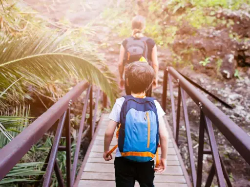 Bambini con zaini attraversano un ponte di legno in un sentiero lussureggiante, un'avventura perfetta per il tuo viaggio a Tenerife con bambini.