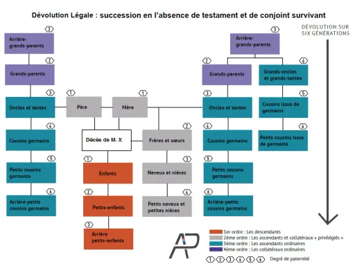 Schéma de dévolution légale : parents, enfants, frères, sœurs, cousins, neveux, etc. pour le service succession.