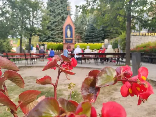 Kwiaty przed kapliczką w Gietrzwałdzie, gdzie wierni modlą się przy figurze Matki Bożej.