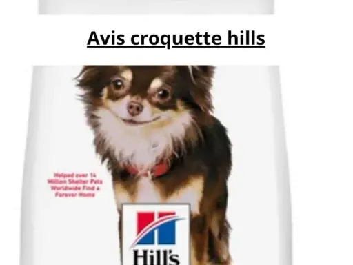 Chien chihuahua sur un sac de croquettes Hill's.