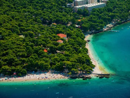Malownicza plaża na punta rata chorwacja, otoczona sosnowym lasem, z turkusową wodą i wypoczywającymi ludźmi.