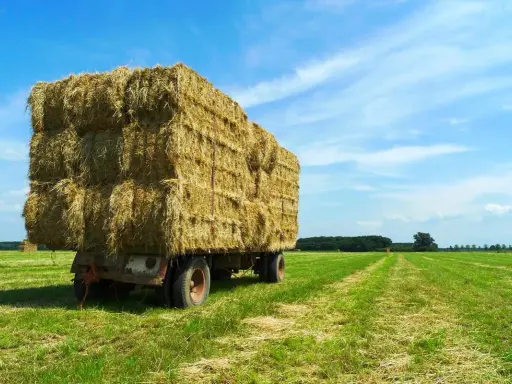 A large bushel of hay sits on a trailer in a green field under a blue, cloudy sky.