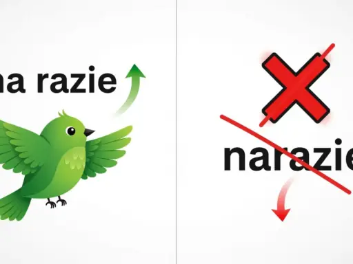 Zielony ptaszek z napisem "na razie" symbolizuje postęp. Obok czerwony krzyżyk przekreśla "narazie", pokazując błąd.