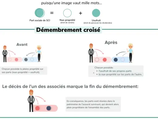 Schéma expliquant le démembrement croisé de parts de SCI, une stratégie pour la résidence principale.