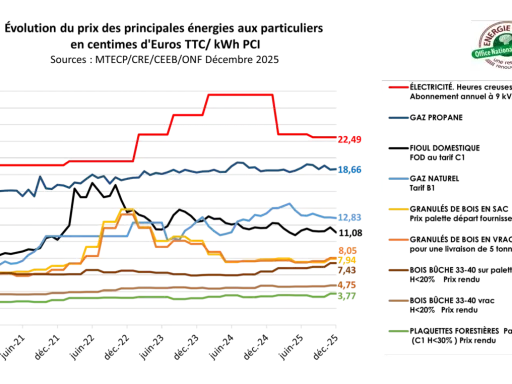 Graphique montrant l'évolution des prix des énergies en kwh. Plusieurs courbes colorées illustrent les variations, avec des valeurs allant de 3,77 à 22,49.