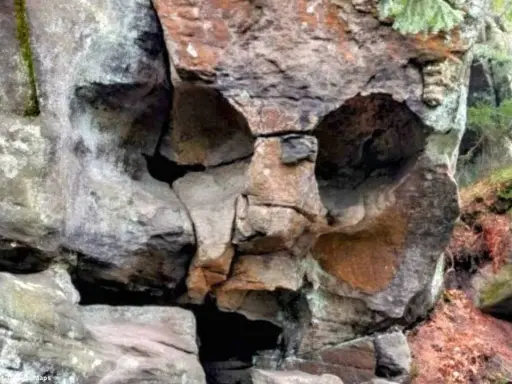 Skalna czaszka w lesie, z pustymi oczodołami i nosem wyrzeźbionym przez naturę.