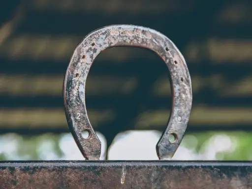 Zardzewiałe hacele w podkowie, symbol szczęścia i dawnych czasów, stoją na metalowej belce.