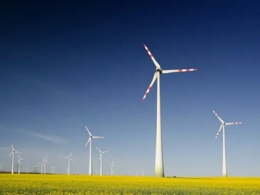 Windräder im Rapsfeld unter blauem Himmel. Ein Zeichen für die Zukunft der Energieversorgung, wie sie die EEG Ausschreibung fördert.