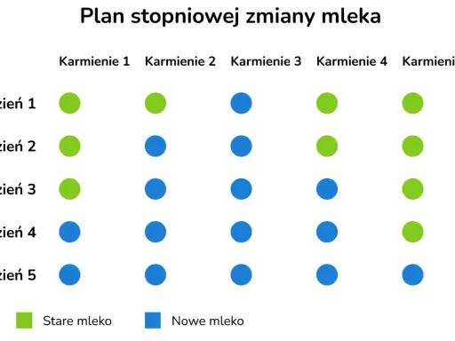 Plan stopniowej zmiany mleka: zielone kropki to stare mleko, niebieskie to nowe. Schemat pokazuje, jak zmienić mleko modyfikowane w ciągu 5 dni.
