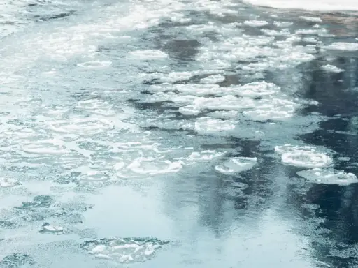 Na wodzie unoszą się kawałki lodu, tworząc śryż. Woda jest ciemna, odbija niebo i drzewa.