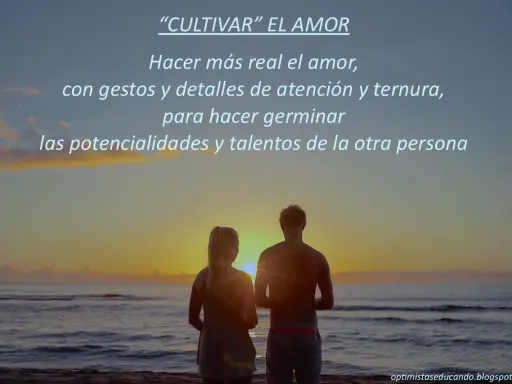 Pareja contemplando el atardecer, cultivando sentimientos de amor con gestos y ternura.