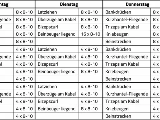 Trainingsplan für zwei Gruppen, aufgeteilt nach Tagen und Tageszeiten (morgens/abends). Ziel: 2 mal am Tag trainieren.