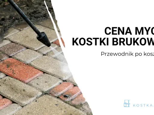 Cennik czyszczenia kostki brukowej: Nie przepłacaj! Porady eksperta