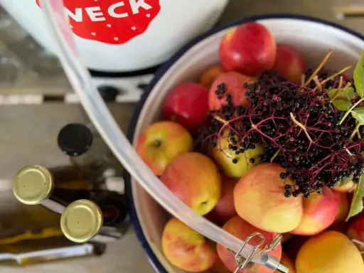 Äpfel und Holunderbeeren warten auf die Verarbeitung. Ein Schlauch führt zum Dampfentsafter, bereit für die Saftgewinnung.