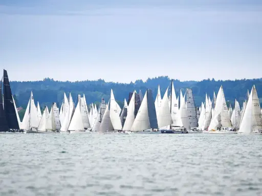 Viele Segelboote kämpfen bei einer spannenden Segelregatta aktuell um die Wette. Die Boote mit weißen und schwarzen Segeln sind auf dem Wasser dicht beieinander.