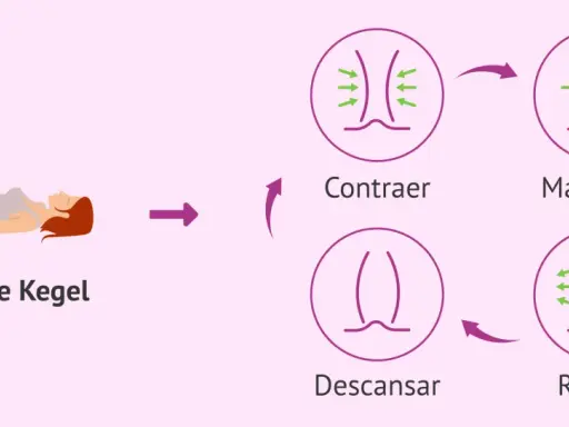 Ilustración de ejercicios de Kegel: mujer tumbada, ciclo de contracción, mantener, relajación y descanso del músculo pubococcigeo.
