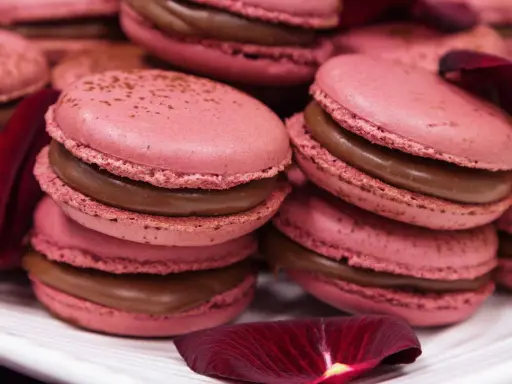 Macarons roses à la ganache chocolat, parfaits pour une recette ganache framboise macaron. Pétales de rose sombres ajoutent une touche élégante.