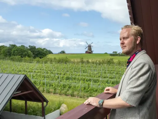 Man i kavaj blickar ut över böljande vingårdar i Skåne, med en väderkvarn i bakgrunden.