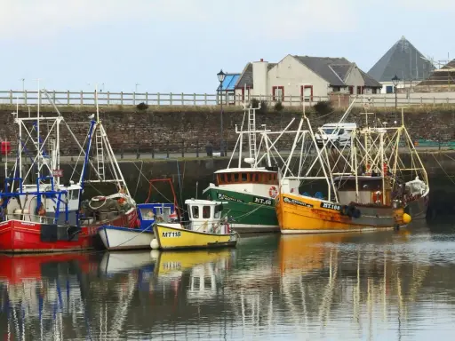 Plusieurs bateaux de pêche colorés sont amarrés dans un port. Une bitte d'amarrage définition : un poteau solide pour attacher les bateaux.