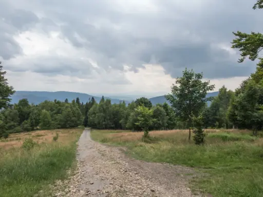 Kamienista ścieżka prowadzi przez trawiaste zbocze ku lasowi. W oddali widać pasma górskie pod pochmurnym niebem. To miejsce, gdzie można poczuć się jak na hrobaczej łące.