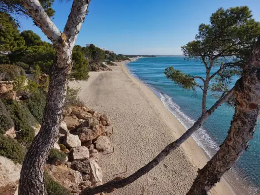 Blick auf den Strand von Calafell, Spanien, mit Pinien im Vordergrund und dem türkisfarbenen Meer.