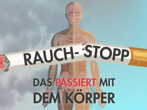 Rauch-Stopp: Ein zerbrochenes Zigarettenstück überlagert die Darstellung eines menschlichen Körpers mit Nerven und Knochen. Der Text darunter warnt: "Das passiert mit dem Körper". Der Puls des Körpers wird durch das Rauchen beeinträchtigt.