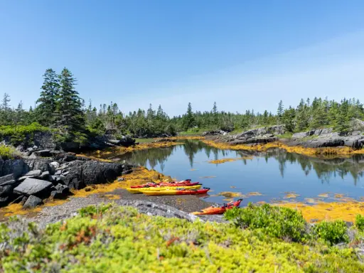 Bunte Kajaks liegen am Ufer bereit für einen **Urlaub im August**. Die felsige Küste mit Kiefern und Seetang lädt zum Erkunden ein.