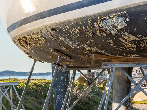 La coque d'un bateau est couverte de bernacles, signe qu'un traitement antifouling bateau est nécessaire.